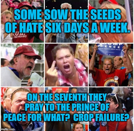 Hideous Ecstasy | SOME SOW THE SEEDS OF HATE SIX DAYS A WEEK. ON THE SEVENTH THEY PRAY TO THE PRINCE OF PEACE FOR WHAT?  CROP FAILURE? | image tagged in hideous ecstasy | made w/ Imgflip meme maker