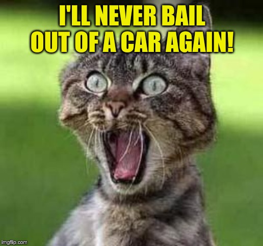 scared cat | I'LL NEVER BAIL OUT OF A CAR AGAIN! | image tagged in scared cat | made w/ Imgflip meme maker