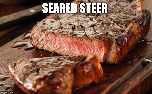 Steak | SEARED STEER | image tagged in steak | made w/ Imgflip meme maker