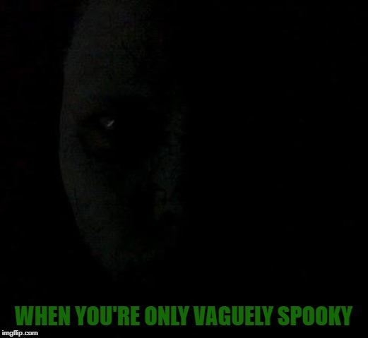 Fun fact. That's my actual face. Needs 50% more spook. | WHEN YOU'RE ONLY VAGUELY SPOOKY | image tagged in nixieknox,memes,spooky | made w/ Imgflip meme maker