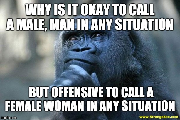 Deep Thoughts | WHY IS IT OKAY TO CALL A MALE, MAN IN ANY SITUATION; BUT OFFENSIVE TO CALL A FEMALE WOMAN IN ANY SITUATION | image tagged in deep thoughts | made w/ Imgflip meme maker