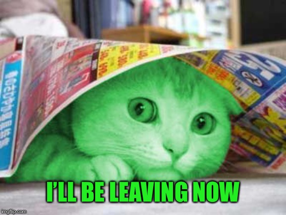 RayCat Scared | I’LL BE LEAVING NOW | image tagged in raycat scared | made w/ Imgflip meme maker