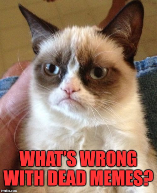 Grumpy Cat Meme | WHAT’S WRONG WITH DEAD MEMES? | image tagged in memes,grumpy cat | made w/ Imgflip meme maker
