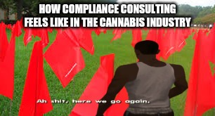 How cannabis consulting be like | HOW COMPLIANCE CONSULTING FEELS LIKE IN THE CANNABIS INDUSTRY | image tagged in cannabis,oh shit | made w/ Imgflip meme maker