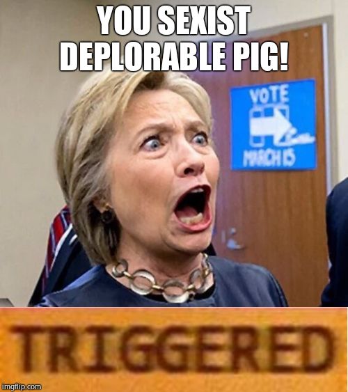 Hillary Triggered | YOU SEXIST DEPLORABLE PIG! | image tagged in hillary triggered | made w/ Imgflip meme maker