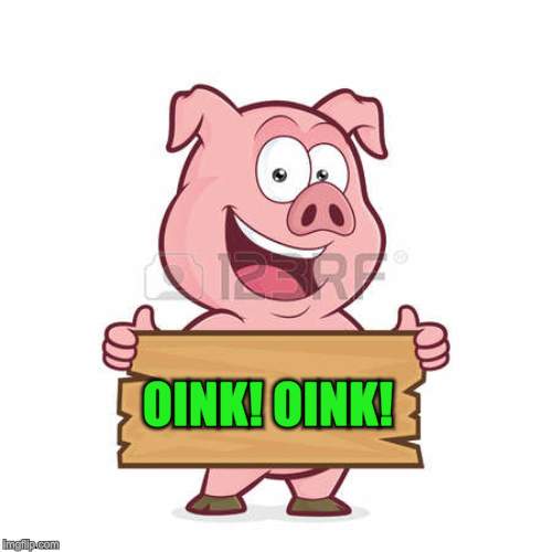 pig | OINK! OINK! | image tagged in pig | made w/ Imgflip meme maker