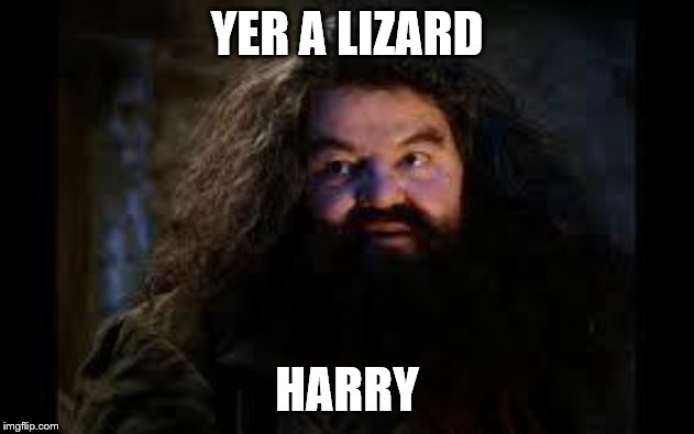 hagrid yer a wizard | YER A LIZARD; HARRY | image tagged in hagrid yer a wizard | made w/ Imgflip meme maker
