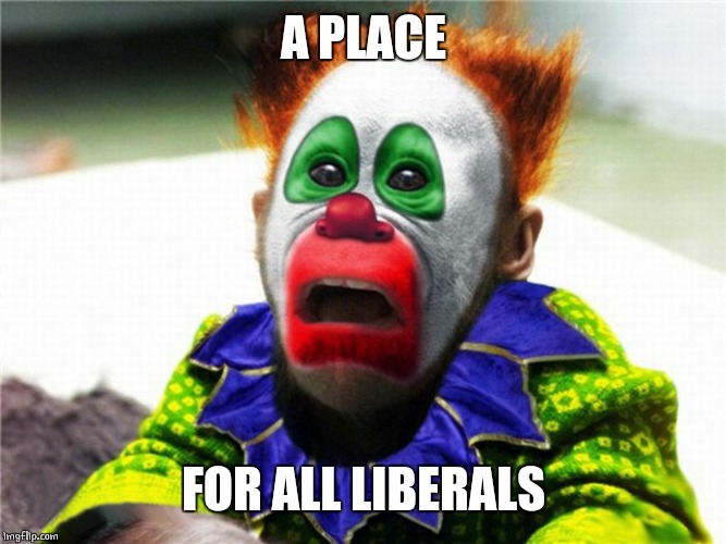 Circus Monkey | A PLACE FOR ALL LIBERALS | image tagged in circus monkey | made w/ Imgflip meme maker