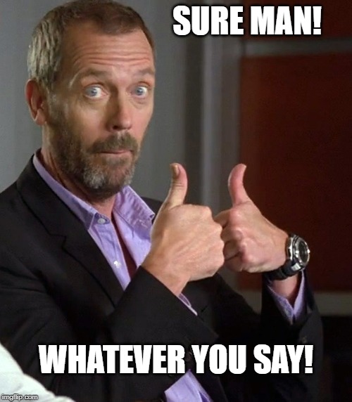 Whatever You Say | SURE MAN! WHATEVER YOU SAY! | image tagged in whatever | made w/ Imgflip meme maker