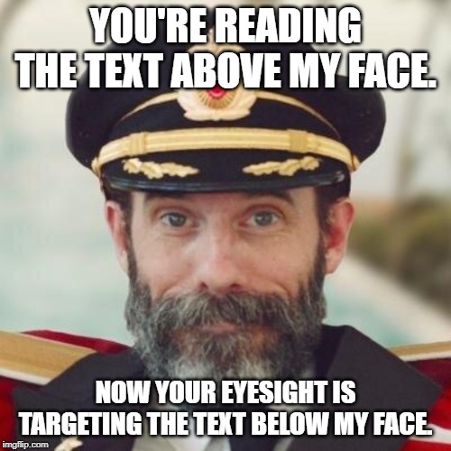Thanks captain obvious. | YOU'RE READING THE TEXT ABOVE MY FACE. NOW YOUR EYESIGHT IS TARGETING THE TEXT BELOW MY FACE. | image tagged in thanks captain obvious | made w/ Imgflip meme maker