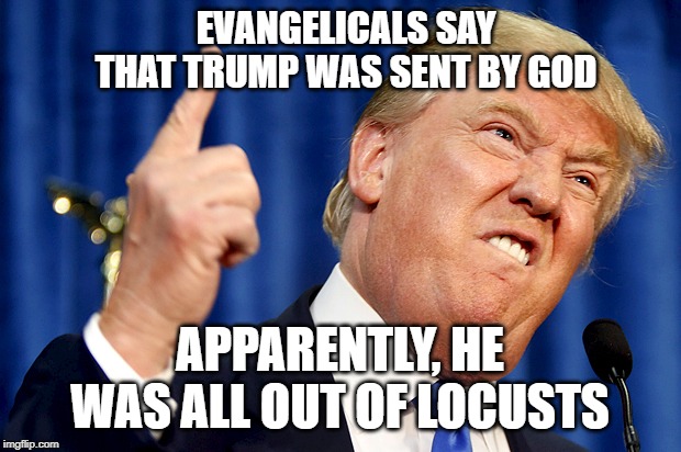 The Newest Plague | EVANGELICALS SAY THAT TRUMP WAS SENT BY GOD; APPARENTLY, HE WAS ALL OUT OF LOCUSTS | image tagged in donald trump,evangelicals,god | made w/ Imgflip meme maker