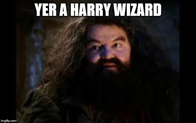 hagrid yer a wizard | YER A HARRY WIZARD | image tagged in hagrid yer a wizard | made w/ Imgflip meme maker
