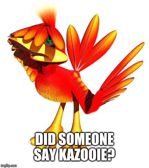 Kazooie | DID SOMEONE SAY KAZOOIE? | image tagged in kazooie | made w/ Imgflip meme maker