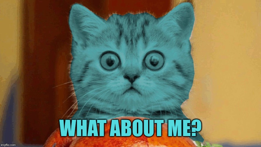 RayCat surprised | WHAT ABOUT ME? | image tagged in raycat surprised | made w/ Imgflip meme maker