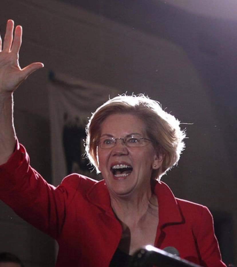 Elizabeth Warren Blank Meme Template