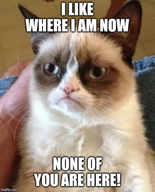 Grumpy Cat | I LIKE WHERE I AM NOW; NONE OF YOU ARE HERE! | image tagged in memes,grumpy cat | made w/ Imgflip meme maker