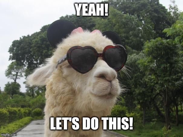cool llama | YEAH! LET'S DO THIS! | image tagged in cool llama | made w/ Imgflip meme maker