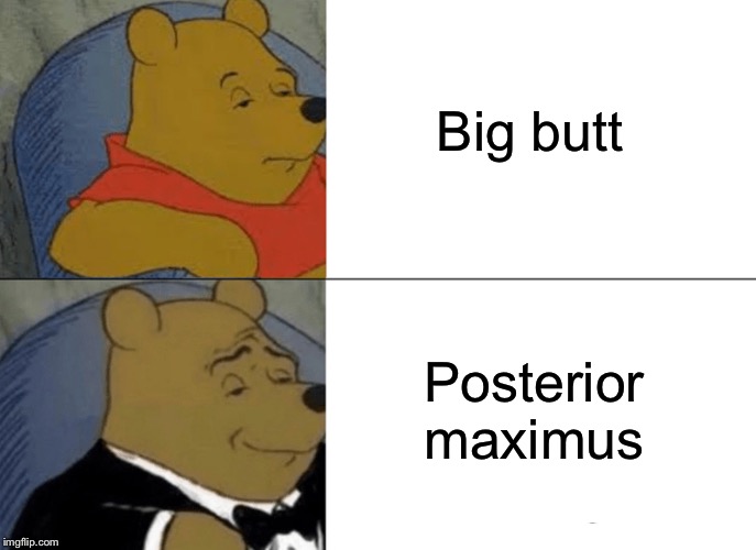 Tuxedo Winnie The Pooh Meme | Big butt Posterior Maximus | image tagged in memes,tuxedo winnie the pooh | made w/ Imgflip meme maker