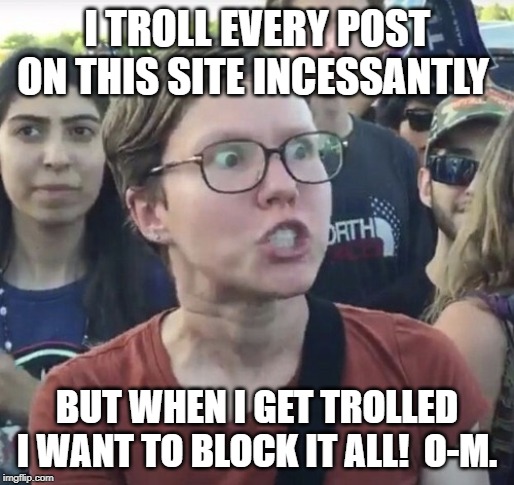 Triggered feminist | I TROLL EVERY POST ON THIS SITE INCESSANTLY; BUT WHEN I GET TROLLED I WANT TO BLOCK IT ALL!  O-M. | image tagged in triggered feminist | made w/ Imgflip meme maker