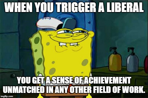 Trigger a liberal | WHEN YOU TRIGGER A LIBERAL; YOU GET A SENSE OF ACHIEVEMENT UNMATCHED IN ANY OTHER FIELD OF WORK. | image tagged in memes,dont you squidward | made w/ Imgflip meme maker