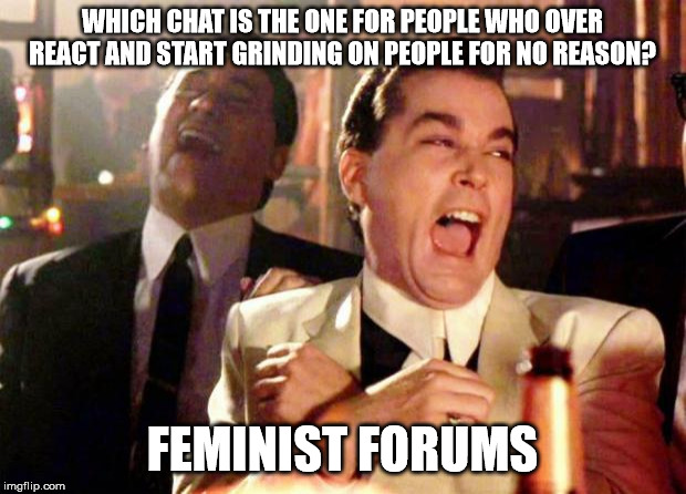 When you get political in a video game. | WHICH CHAT IS THE ONE FOR PEOPLE WHO OVER REACT AND START GRINDING ON PEOPLE FOR NO REASON? FEMINIST FORUMS | image tagged in wise guys laughing,sarcasm | made w/ Imgflip meme maker