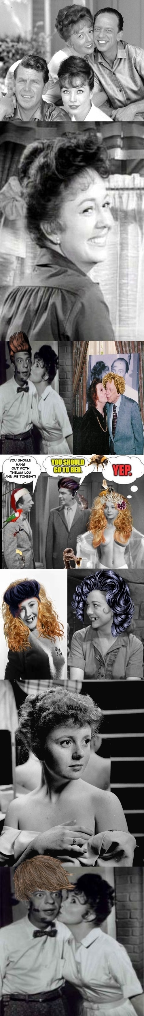Mayberry Life Blank Meme Template