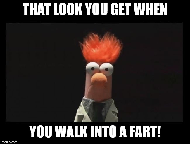 That Look | THAT LOOK YOU GET WHEN; YOU WALK INTO A FART! | image tagged in funny memes,laugh,wrong | made w/ Imgflip meme maker