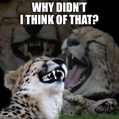 Laughing Cheetah | WHY DIDN’T I THINK OF THAT? | image tagged in laughing cheetah | made w/ Imgflip meme maker