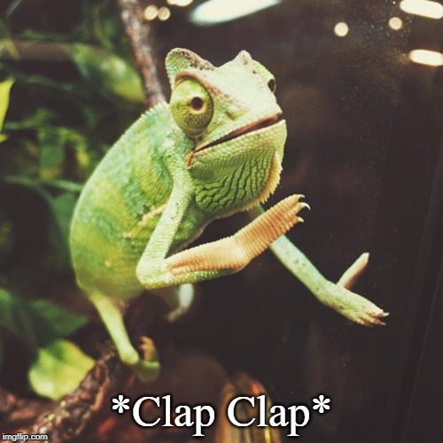 Slow Clap Chameleon  | *Clap Clap* | image tagged in slow clap chameleon | made w/ Imgflip meme maker