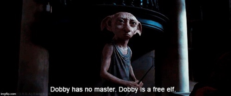 Dobby has no Master | image tagged in dobby has no master | made w/ Imgflip meme maker