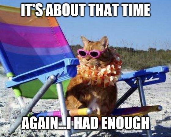 Jroc113 | IT'S ABOUT THAT TIME; AGAIN...I HAD ENOUGH | image tagged in beach cat | made w/ Imgflip meme maker