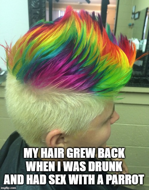 MY HAIR GREW BACK WHEN I WAS DRUNK AND HAD SEX WITH A PARROT | made w/ Imgflip meme maker