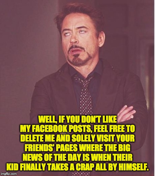 Face You Make Robert Downey Jr Meme | WELL, IF YOU DON’T LIKE MY FACEBOOK POSTS, FEEL FREE TO DELETE ME AND SOLELY VISIT YOUR FRIENDS’ PAGES WHERE THE BIG NEWS OF THE DAY IS WHEN THEIR KID FINALLY TAKES A CRAP ALL BY HIMSELF. | image tagged in memes,face you make robert downey jr | made w/ Imgflip meme maker
