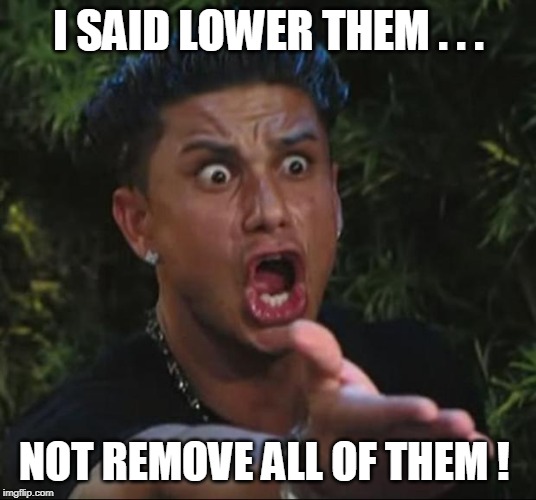 DJ Pauly D Meme | I SAID LOWER THEM . . . NOT REMOVE ALL OF THEM ! | image tagged in memes,dj pauly d | made w/ Imgflip meme maker