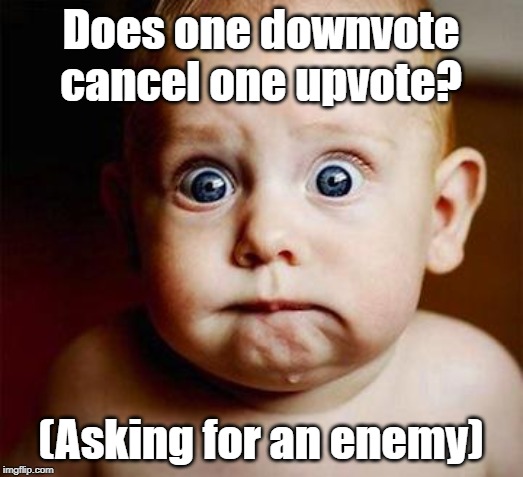 All seriousness aside . . . |  Does one downvote cancel one upvote? (Asking for an enemy) | image tagged in scared baby,upvotes,downvotes | made w/ Imgflip meme maker