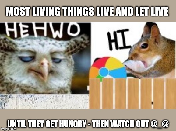 THE WAY OF THE WORLD | MOST LIVING THINGS LIVE AND LET LIVE; UNTIL THEY GET HUNGRY - THEN WATCH OUT @_@ | image tagged in meme,hunger,wildlife,city | made w/ Imgflip meme maker