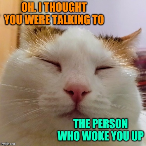 OH. I THOUGHT YOU WERE TALKING TO THE PERSON WHO WOKE YOU UP | made w/ Imgflip meme maker