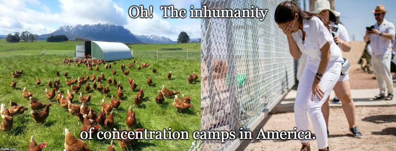 Oh!  The inhumanity; of concentration camps in America. | image tagged in free range | made w/ Imgflip meme maker