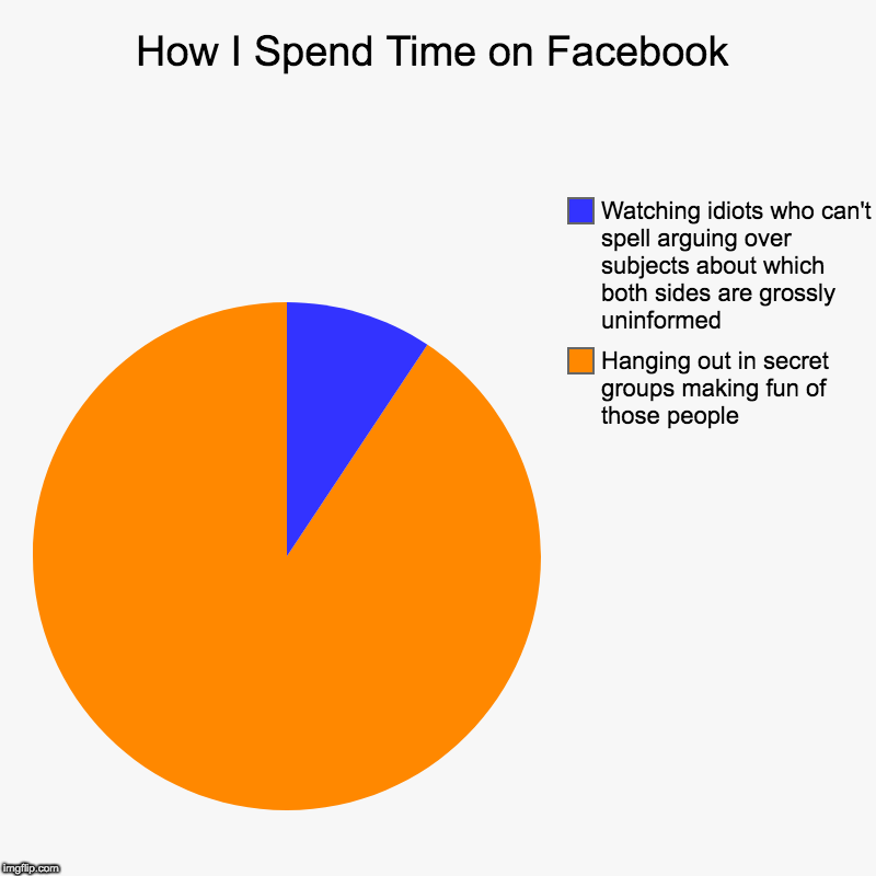 My Facebook Time | How I Spend Time on Facebook | Hanging out in secret groups making fun of those people, Watching idiots who can't spell arguing over subject | image tagged in charts,pie charts,facebook,time wasting,screen time,social media | made w/ Imgflip chart maker