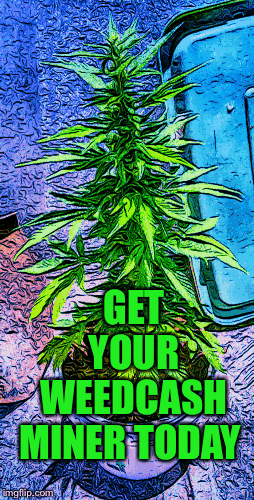 GET YOUR WEEDCASH MINER TODAY | image tagged in gifs | made w/ Imgflip images-to-gif maker