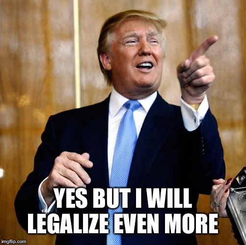 Donal Trump Birthday | YES BUT I WILL LEGALIZE EVEN MORE | image tagged in donal trump birthday | made w/ Imgflip meme maker
