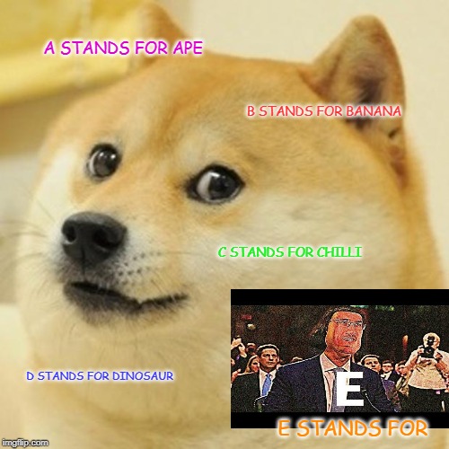 Doge Meme | A STANDS FOR APE; B STANDS FOR BANANA; C STANDS FOR CHILLI; D STANDS FOR DINOSAUR; E STANDS FOR | image tagged in memes,doge | made w/ Imgflip meme maker