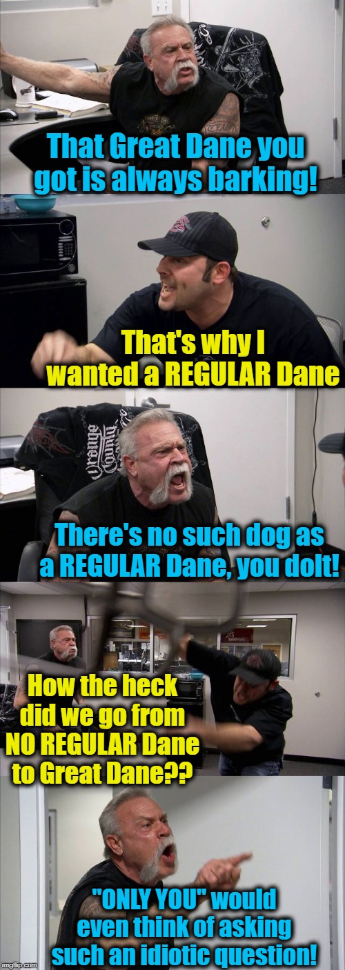 If society has GREAT Dane dogs,  were there ever REGULAR Danes? | That Great Dane you got is always barking! That's why I wanted a REGULAR Dane; There's no such dog as a REGULAR Dane, you dolt! How the heck did we go from NO REGULAR Dane to Great Dane?? "ONLY YOU" would even think of asking such an idiotic question! | image tagged in memes,american chopper argument | made w/ Imgflip meme maker