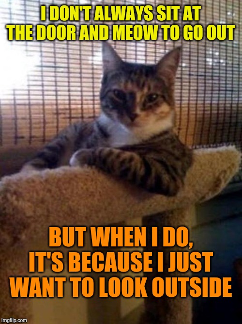 The Most Interesting Cat In The World | I DON'T ALWAYS SIT AT THE DOOR AND MEOW TO GO OUT; BUT WHEN I DO, IT'S BECAUSE I JUST WANT TO LOOK OUTSIDE | image tagged in memes,the most interesting cat in the world | made w/ Imgflip meme maker