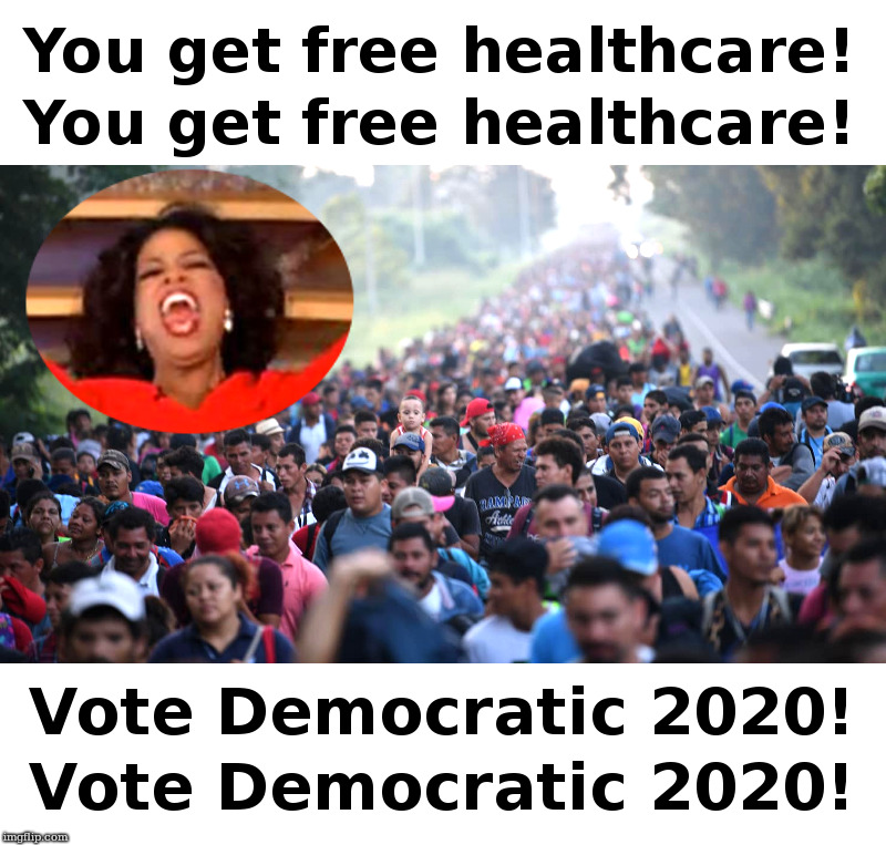 Free Healthcare Oprah | image tagged in oprah,healthcare,free stuff,buying votes | made w/ Imgflip meme maker