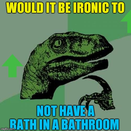 Philosoraptor Meme | WOULD IT BE IRONIC TO; NOT HAVE A BATH IN A BATHROOM | image tagged in memes,philosoraptor | made w/ Imgflip meme maker