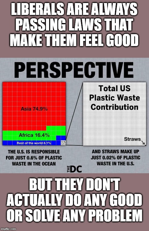 Trying to solve a non-problem just so you can say you did something. | LIBERALS ARE ALWAYS PASSING LAWS THAT MAKE THEM FEEL GOOD; BUT THEY DON'T ACTUALLY DO ANY GOOD OR SOLVE ANY PROBLEM | image tagged in plastic perspective | made w/ Imgflip meme maker