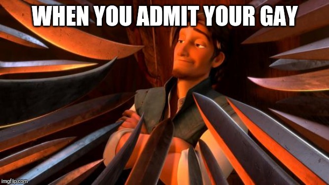 Flynn rider swords | WHEN YOU ADMIT YOUR GAY | image tagged in flynn rider swords | made w/ Imgflip meme maker