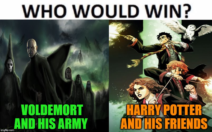 DeviantArt Week 2...6-24 to 6-29. A Raydog and TigerLegend1046 event | VOLDEMORT AND HIS ARMY; HARRY POTTER AND HIS FRIENDS | image tagged in who would win,memes,deviantart week 2 | made w/ Imgflip meme maker