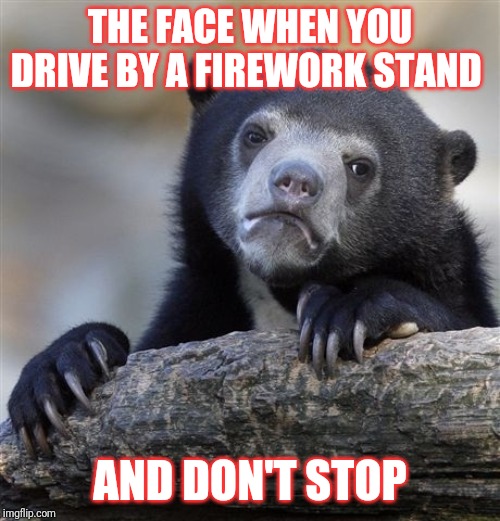 Confession Bear Meme | THE FACE WHEN YOU DRIVE BY A FIREWORK STAND; AND DON'T STOP | image tagged in memes,confession bear | made w/ Imgflip meme maker